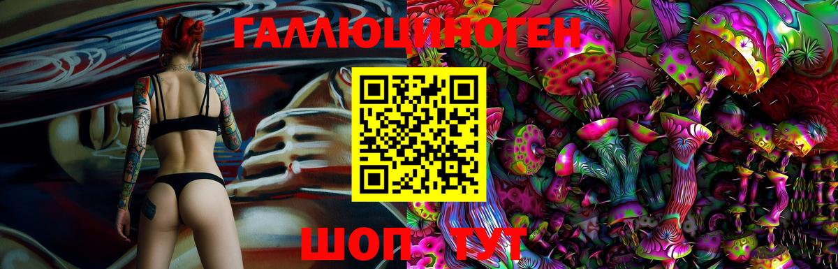 Псилоцибиновые грибы GOLDEN TEACHER Тара